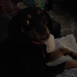 Meet your Posher, Amber